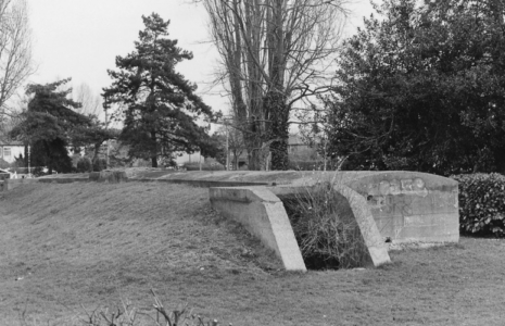 Abbey Circus, air raid shelter c1960